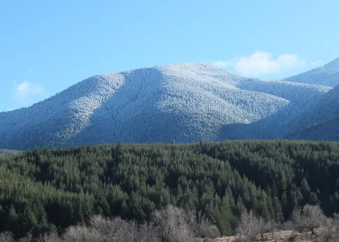 Pirin Heights A-21 близо до пистата 아파트 *