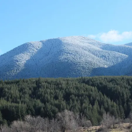 Pirin Heights A-21 близо до пистата 公寓 *